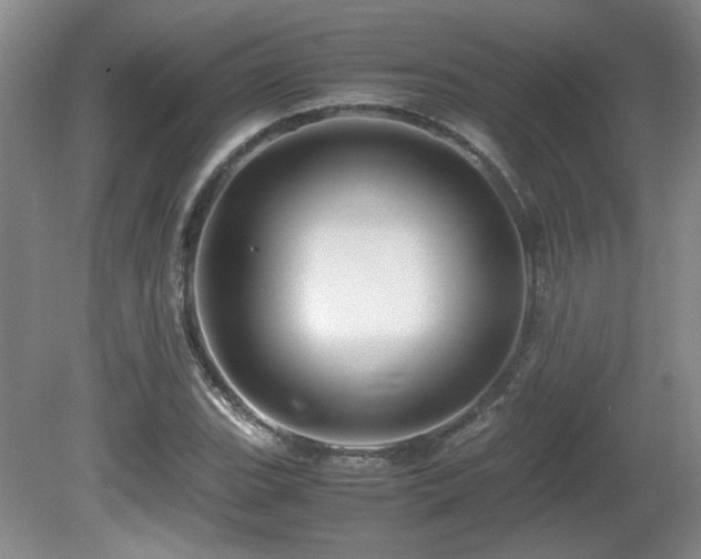 X0000081611119200701151358