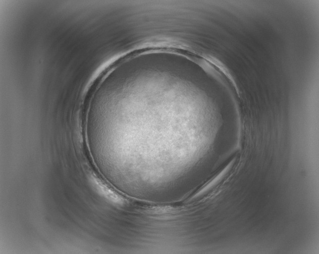 X0000081611120200701151358