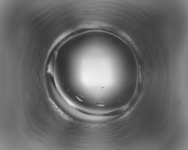 X0000081611122200701151358