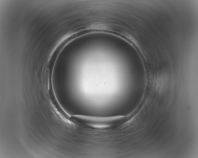 X0000081611123200701151358