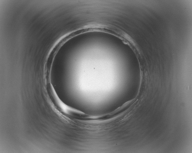 X0000081611124200701151358