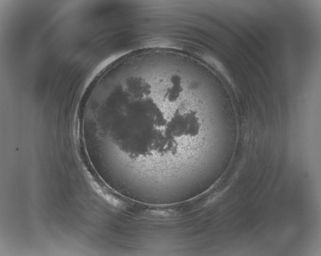 X0000081611125200701151358