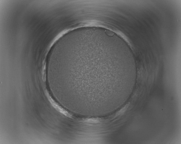 X0000081611126200701151358