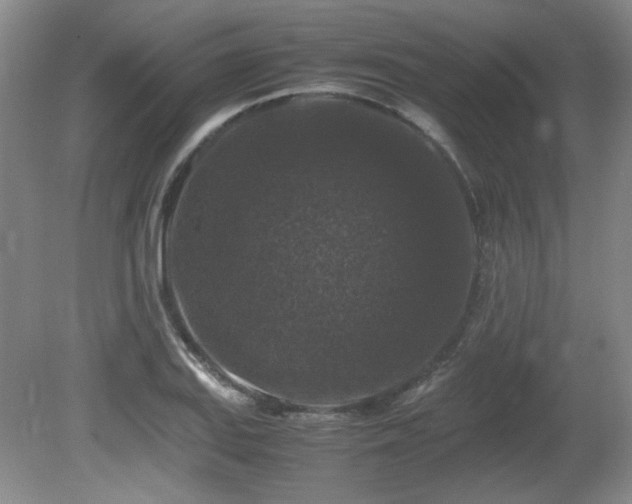 X0000081611127200701151358