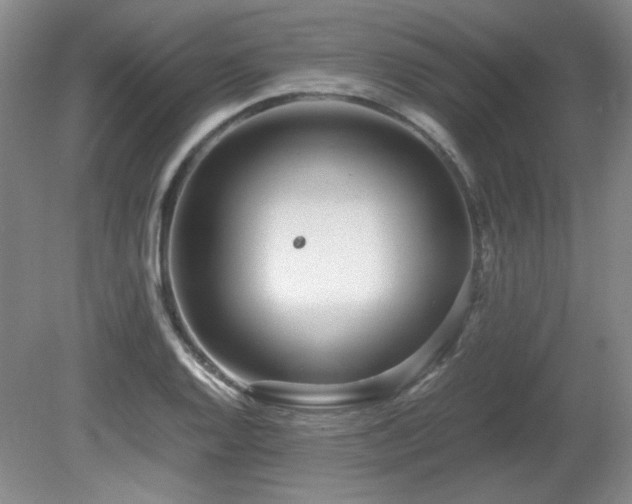 X0000081611128200701151358