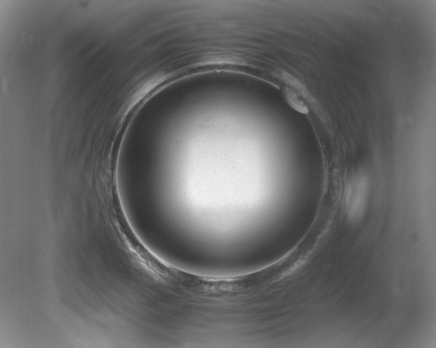 X0000081611129200701151358