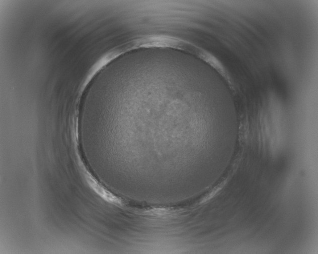 X0000081611130200701151358