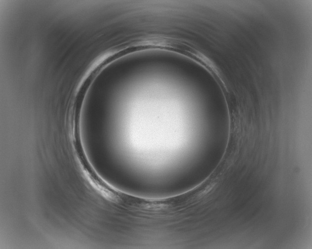 X0000081611131200701151358