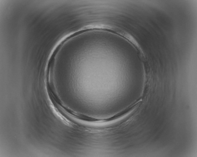 X0000081611132200701151358