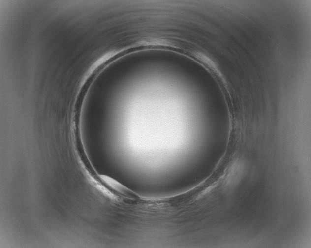 X0000081611133200701151358