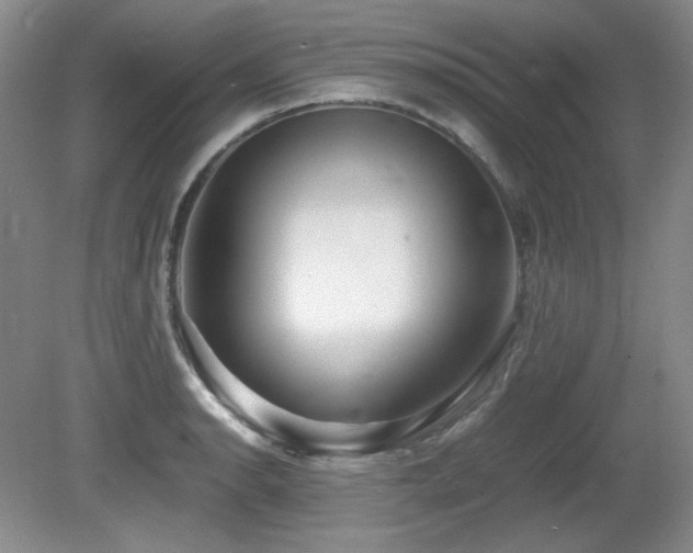 X0000081611134200701151358