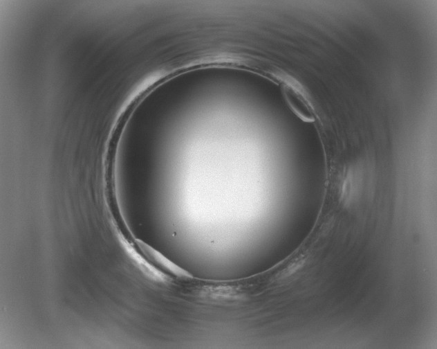 X0000081611135200701151358