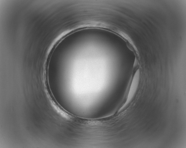 X0000081611136200701151358