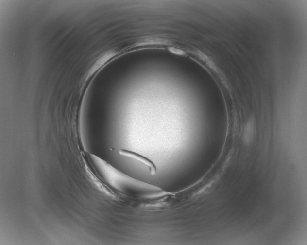 X0000081611137200701151358