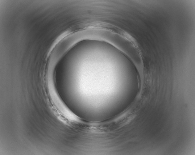 X0000081611138200701151358