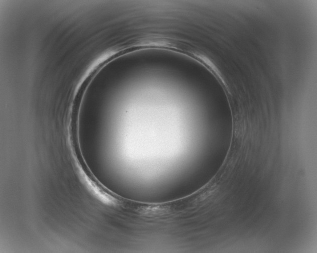 X0000081611139200701151358