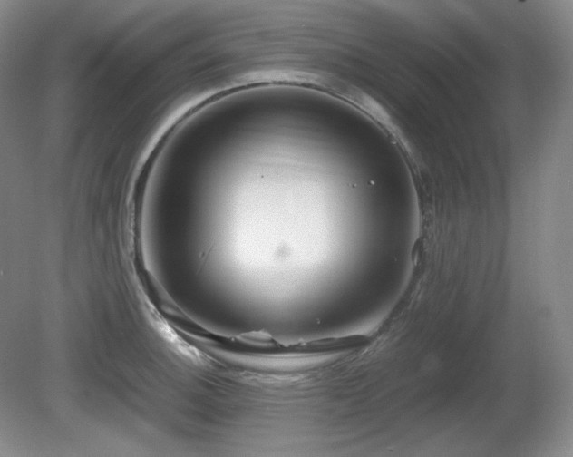 X0000081611140200701151358