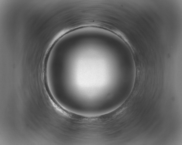 X0000081611143200701151358