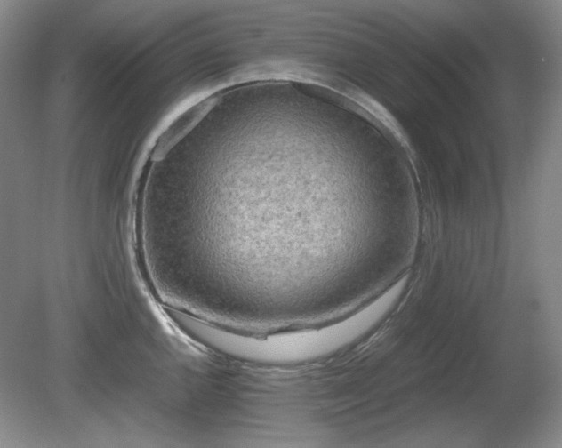 X0000081611144200701151358