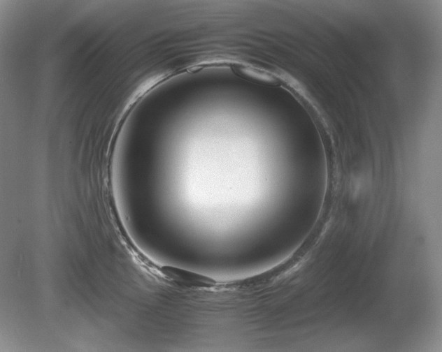 X0000081611145200701151358