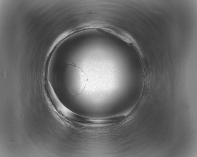 X0000081611146200701151358