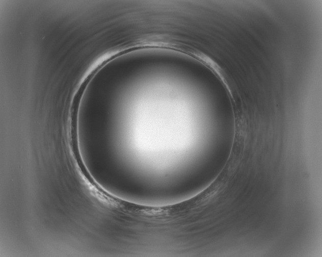 X0000081611147200701151358