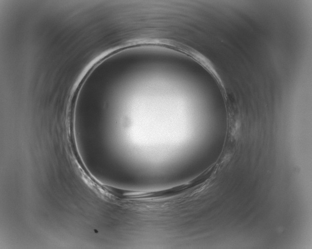 X0000081611148200701151358