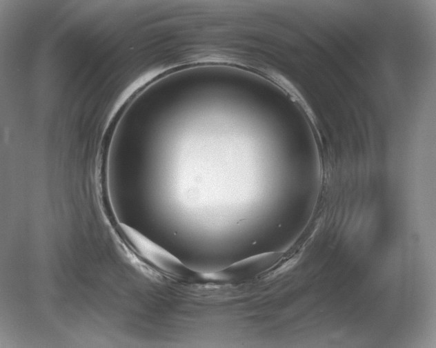 X0000081611149200701151358