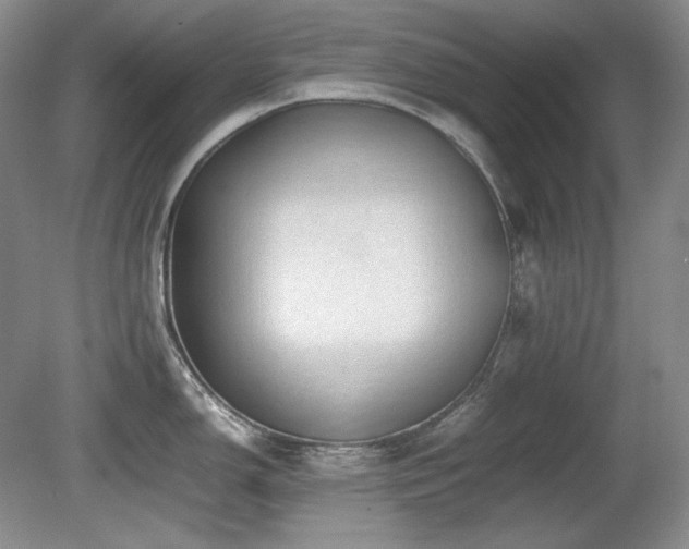 X0000081611150200701151358