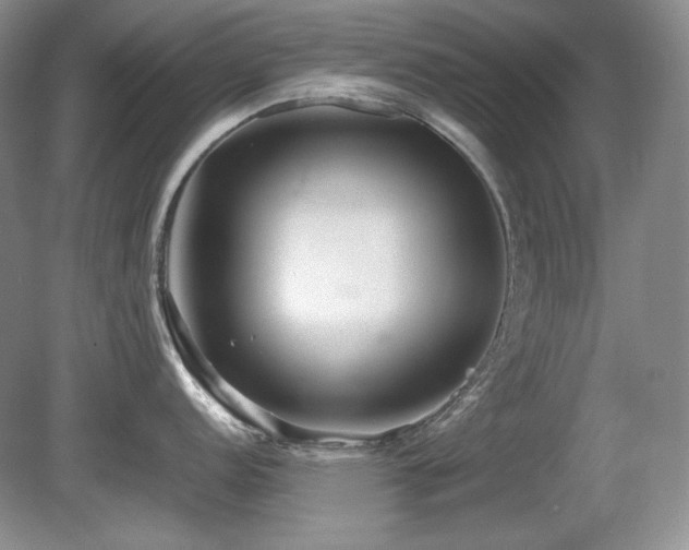 X0000081611152200701151359