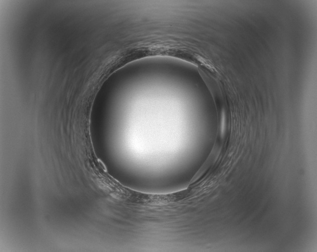 X0000081611153200701151358