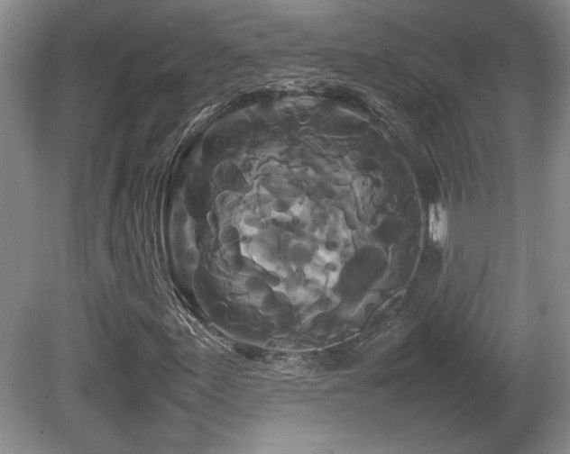 X0000081611155200701151358