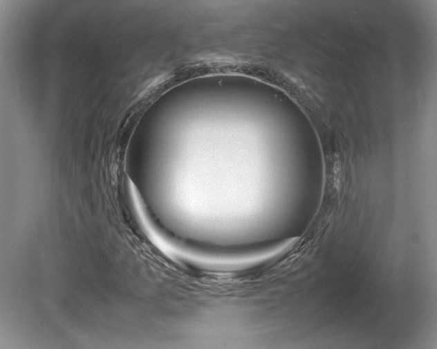 X0000081611157200701151358