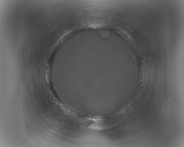 X0000081611158200701151358