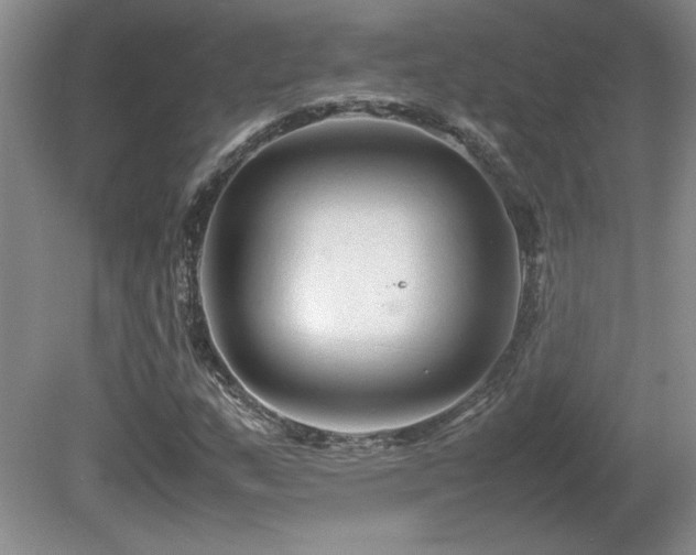 X0000081611159200701151358