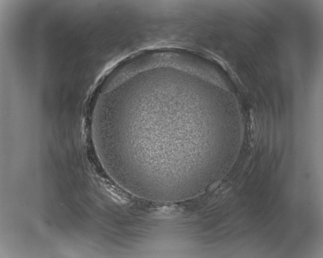 X0000081611160200701151358