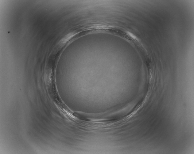 X0000081611161200701151358