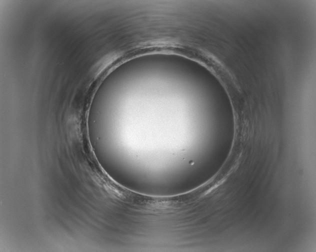 X0000081611162200701151358