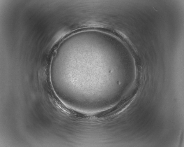 X0000081611163200701151358