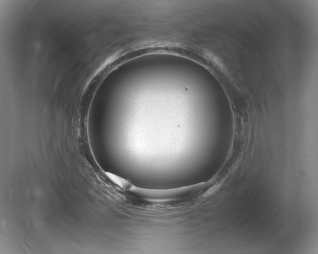 X0000081611165200701151357