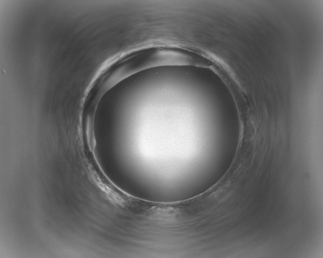 X0000081611168200701151357