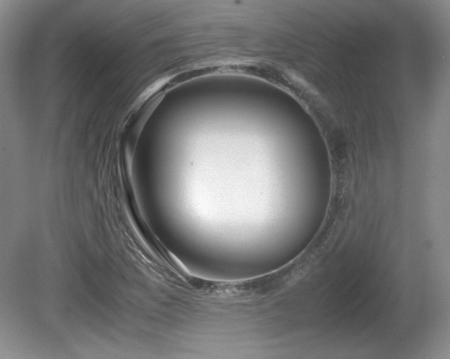 X0000081611169200701151357