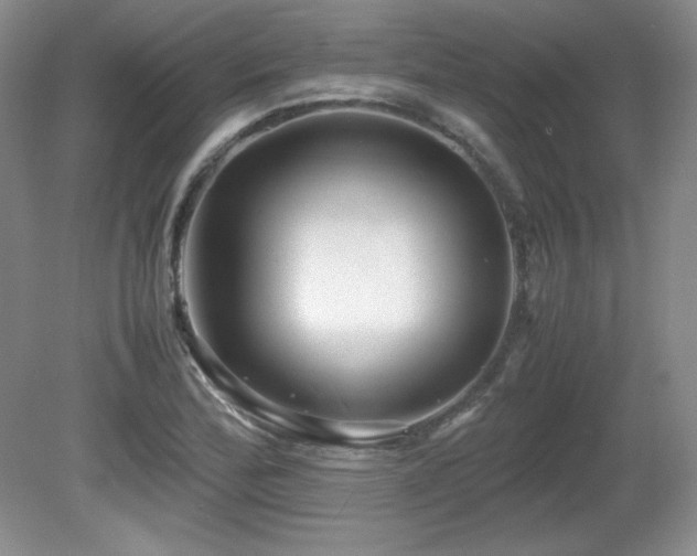 X0000081611172200701151357