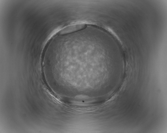 X0000081611173200701151357