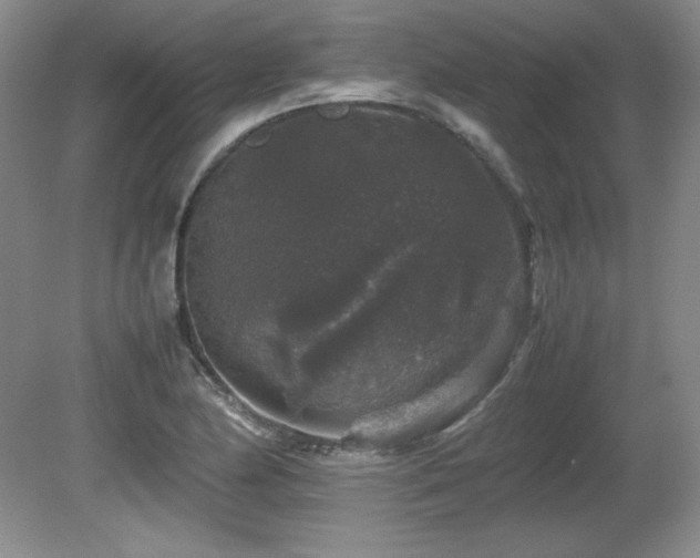 X0000081611174200701151357