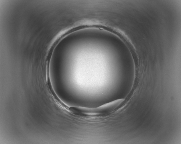 X0000081611175200701151357