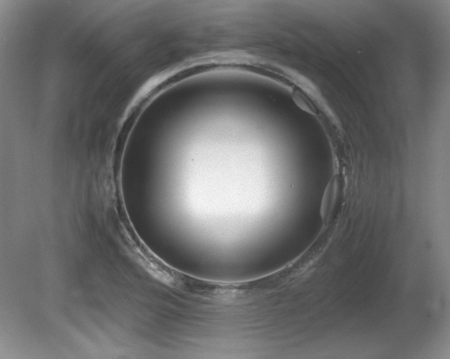 X0000081611176200701151357