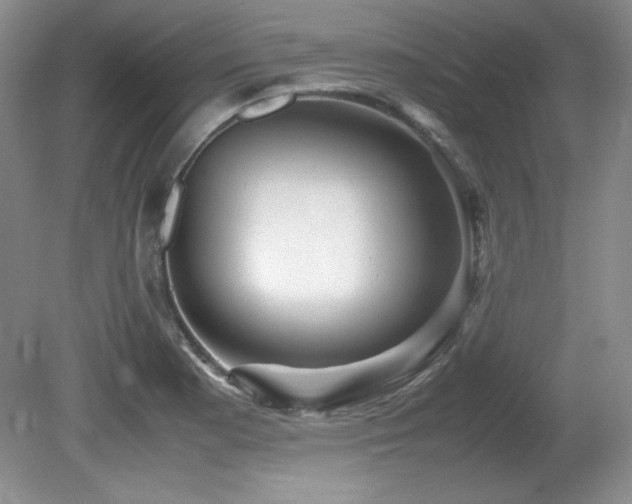 X0000081611177200701151357