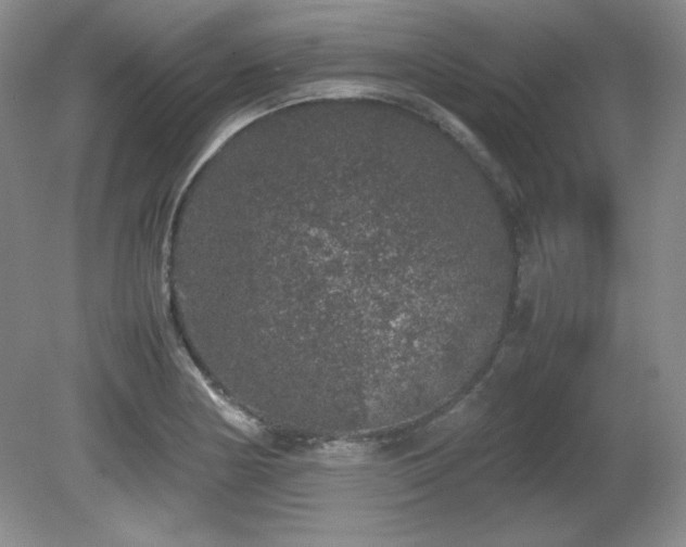 X0000081611178200701151357