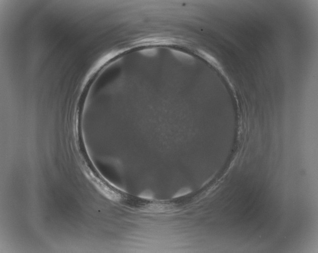 X0000081611179200701151357